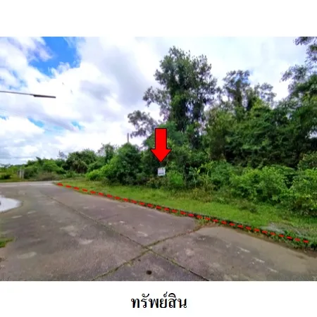 ทรัพย์ บสส. รหัส 8Z2910 ที่ดินเปล่า  สงขลา 6465000