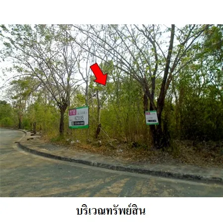 ทรัพย์ บสส. รหัส 8Z3195 ที่ดินเปล่า  สมุทรปราการ 13294000