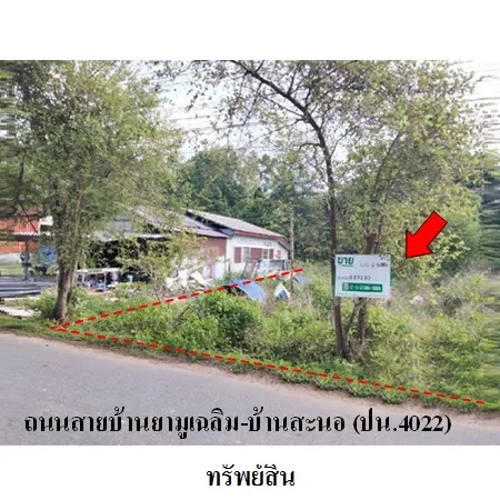 ทรัพย์ บสส. รหัส 8Z3299 ที่ดินเปล่า  ปัตตานี 434000