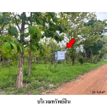 ทรัพย์ บสส. รหัส 8Z3794 ที่ดินเปล่า  ชัยนาท 415000