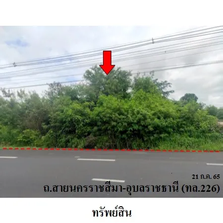 ทรัพย์ บสส. รหัส 8Z4029 ที่ดินเปล่า บุรีรัมย์ 5632000