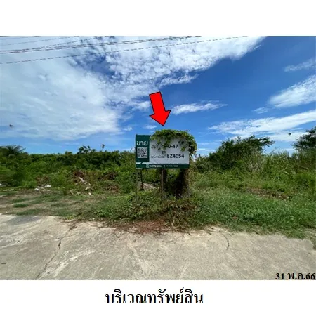 ทรัพย์ บสส. รหัส 8Z4054 ที่ดินเปล่า  ราชบุรี 2540000