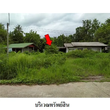 ทรัพย์ บสส. รหัส 8Z4399 บ้านเดี่ยว ราชบุรี 2510000