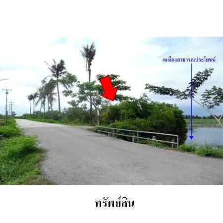 ทรัพย์ บสส. รหัส 8Z4754 ที่ดินเปล่า  เพชรบุรี 1508000