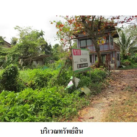 ทรัพย์ บสส. รหัส 8Z4864 ที่ดินเปล่า  กรุงเทพมหานคร 1661000