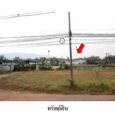 ทรัพย์ บสส. รหัส 8Z4930 โรงงาน/โกดัง  เลย 19125000
