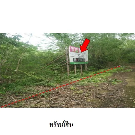ทรัพย์ บสส. รหัส 8Z4949 ที่ดินเปล่า  ประจวบคีรีขันธ์ 1345000