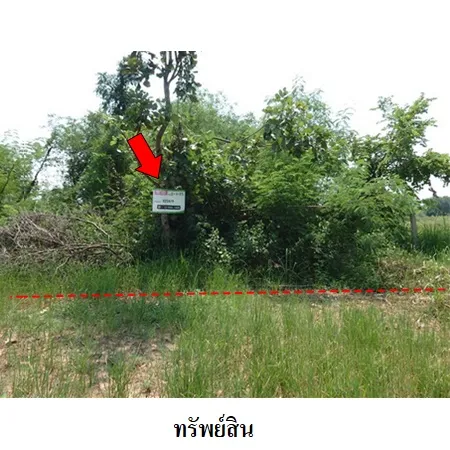 ทรัพย์ บสส. รหัส 8Z5611 ที่ดินเปล่า ขอนแก่น 324000