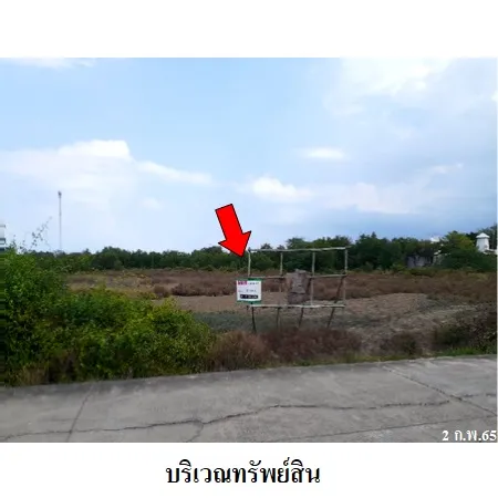 ทรัพย์ บสส. รหัส 8Z6195 ที่ดินเปล่า  เพชรบุรี 9634000