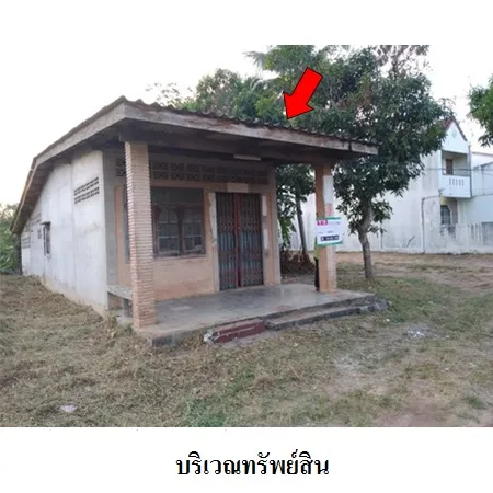 ทรัพย์ บสส. รหัส 8Z6196 บ้านเดี่ยว  ตรัง 2229000