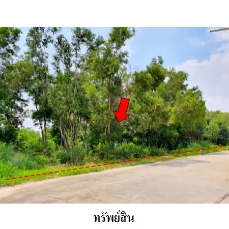 ทรัพย์ บสส. รหัส 8Z6224 ที่ดินเปล่า  ระยอง 4296000