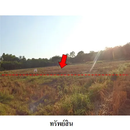 ทรัพย์ บสส. รหัส 8Z6310 ที่ดินเปล่า  หนองคาย 935000