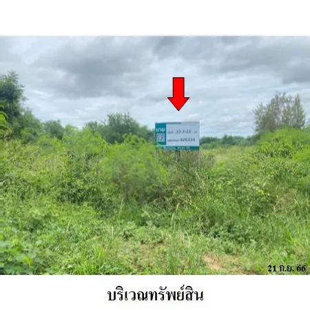 ทรัพย์ บสส. รหัส 8Z6334 ที่ดินเปล่า  ประจวบคีรีขันธ์ 2455000