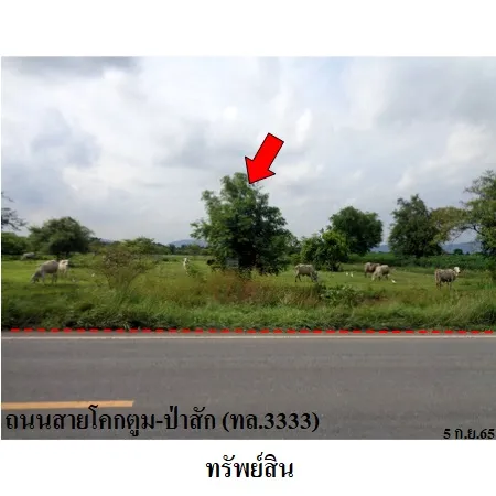 ทรัพย์ บสส. รหัส 8Z6348 ที่ดินเปล่า  ลพบุรี 12832000