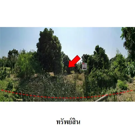 ทรัพย์ บสส. รหัส 8Z6376 ที่ดินเปล่า  เชียงใหม่ 307000