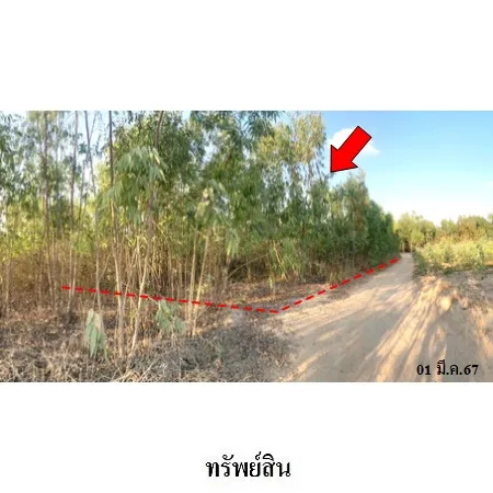 ทรัพย์ บสส. รหัส 8Z6414 ที่ดินเปล่า  บุรีรัมย์ 806000