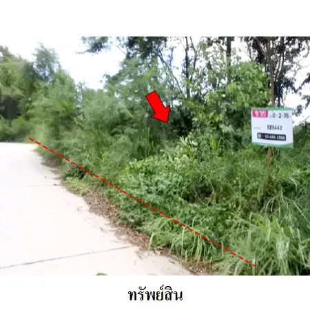 ทรัพย์ บสส. รหัส 8Z6442 ที่ดินเปล่า  ระยอง 3332000