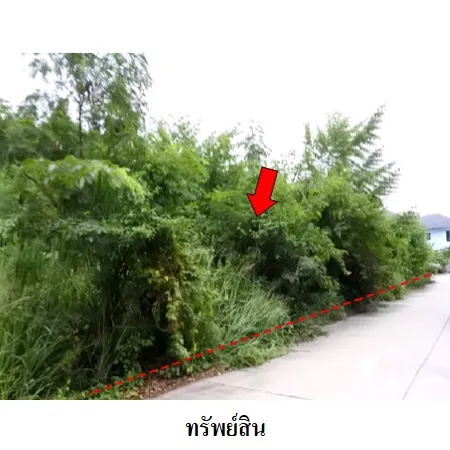 ทรัพย์ บสส. รหัส 8Z6443 ที่ดินเปล่า  ระยอง 3261000