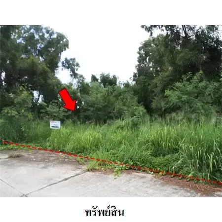 ทรัพย์ บสส. รหัส 8Z6444 ที่ดินเปล่า  ระยอง 4884000
