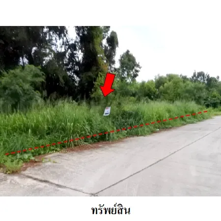 ทรัพย์ บสส. รหัส 8Z6445 ที่ดินเปล่า  ระยอง 4884000