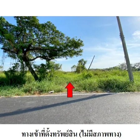 ทรัพย์ บสส. รหัส 8Z6589 ที่ดินเปล่า  ปทุมธานี 2248000