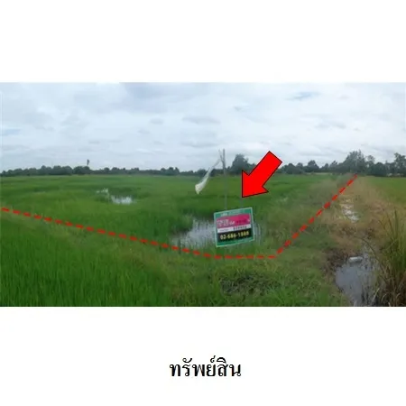 ทรัพย์ บสส. รหัส 8Z6608 ที่ดินเปล่า นครปฐม 1575000