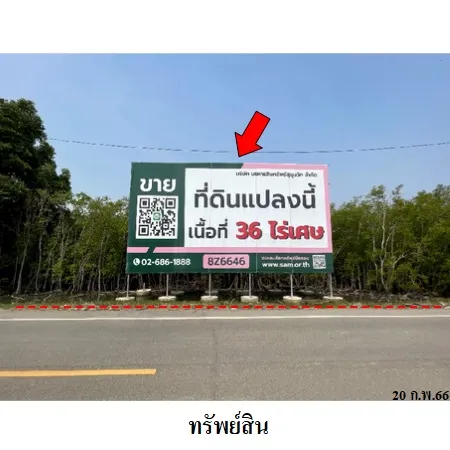 ทรัพย์ บสส. รหัส 8Z6646 ที่ดินเปล่า  สมุทรสงคราม 36044000