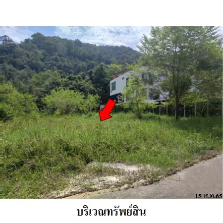 ทรัพย์ บสส. รหัส 8Z6692 ที่ดินเปล่า  สงขลา 2995000