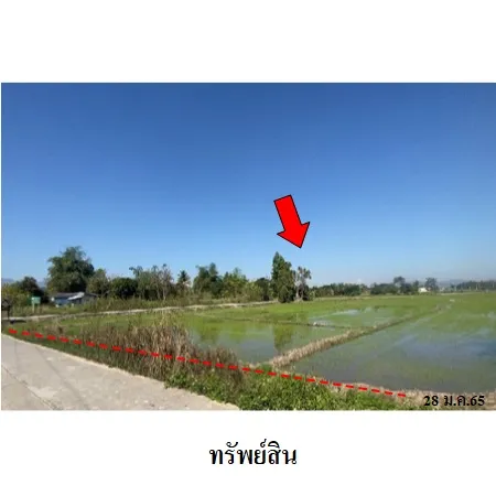 ทรัพย์ บสส. รหัส 8Z6874 ที่ดินเปล่า  เชียงราย 5291000