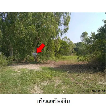 ทรัพย์ บสส. รหัส 8Z6979 ที่ดินเปล่า สุพรรณบุรี 1130000
