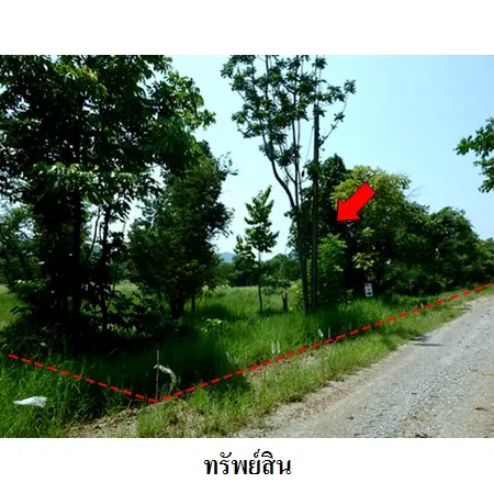 ทรัพย์ บสส. รหัส 8Z7381 ที่ดินเปล่า เพชรบูรณ์ 266000