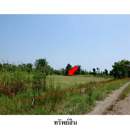 ทรัพย์ บสส. รหัส 8Z7386 ที่ดินเปล่า เพชรบูรณ์ 242000