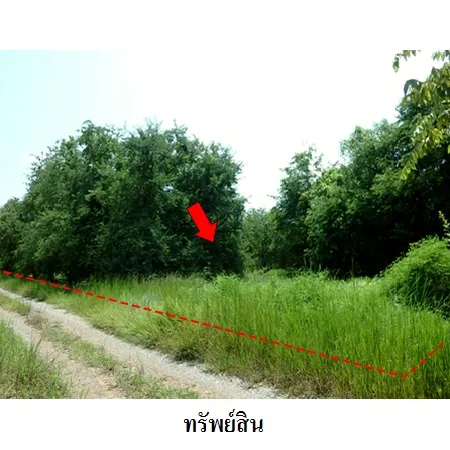 ทรัพย์ บสส. รหัส 8Z7388 ที่ดินเปล่า เพชรบูรณ์ 242000