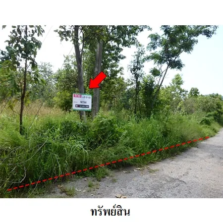 ทรัพย์ บสส. รหัส 8Z7390 ที่ดินเปล่า เพชรบูรณ์ 259000