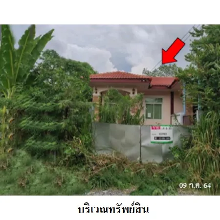 ทรัพย์ บสส. รหัส 8Z7461 ทาวน์เฮ้าส์ ระยอง 1022000