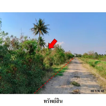 ทรัพย์ บสส. รหัส 8Z7517 ที่ดินเปล่า  นครราชสีมา 27081000