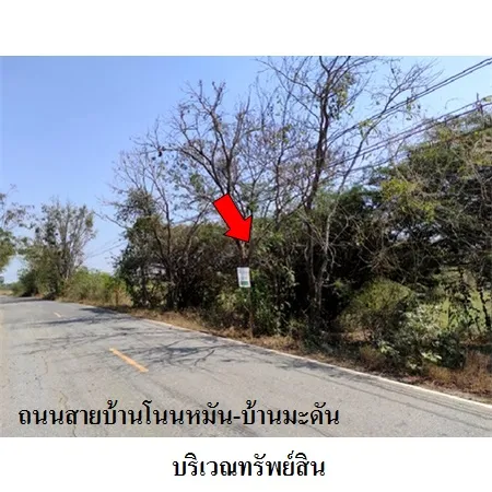 ทรัพย์ บสส. รหัส 8Z7573 ที่ดินเปล่า  นครราชสีมา 544000