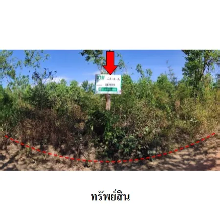 ทรัพย์ บสส. รหัส 8Z7579 ที่ดินเปล่า  ชัยภูมิ 390000