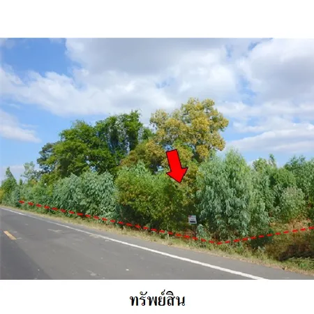 ทรัพย์ บสส. รหัส 8Z7615 ที่ดินเปล่า  สุรินทร์ 520000