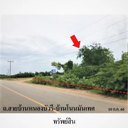 ทรัพย์ บสส. รหัส 8Z7617 ที่ดินเปล่า นครราชสีมา 5026000
