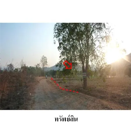 ทรัพย์ บสส. รหัส 9Z0273 ที่ดินเปล่า ประจวบคีรีขันธ์ 869000