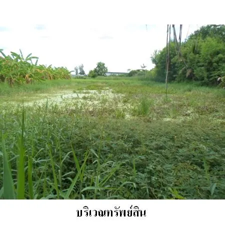 ทรัพย์ บสส. รหัส 9Z0697 ที่ดินเปล่า  ลพบุรี 38000