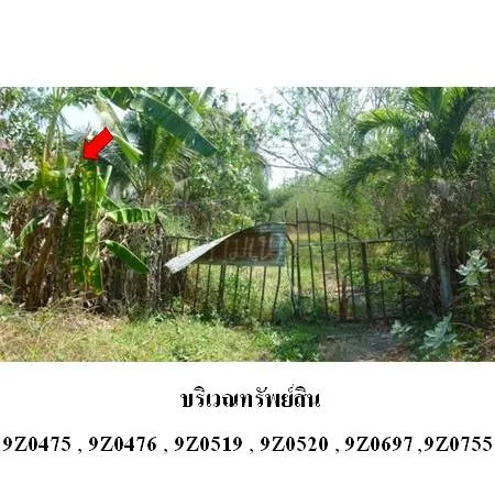 ทรัพย์ บสส. รหัส 9Z0755 ที่ดินเปล่า  ลพบุรี 38000