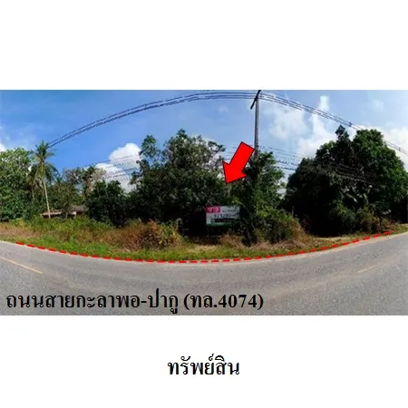ทรัพย์ บสส. รหัส 9Z1280 ที่ดินเปล่า  ปัตตานี 7068000