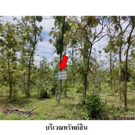 ทรัพย์ บสส. รหัส 9Z1325 ที่ดินเปล่า ลำพูน 838000