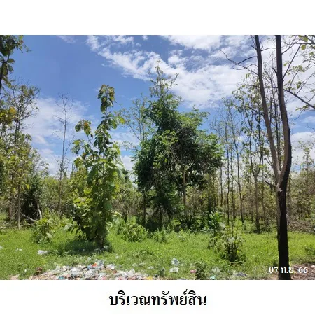 ทรัพย์ บสส. รหัส 9Z1326 ที่ดินเปล่า ลำพูน 204000