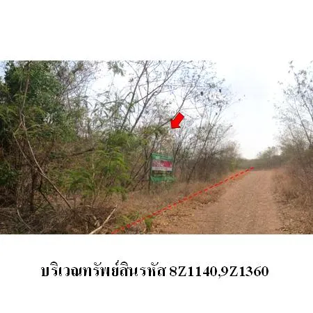 ทรัพย์ บสส. รหัส 9Z1360 ที่ดินเปล่า เพชรบูรณ์ 242000