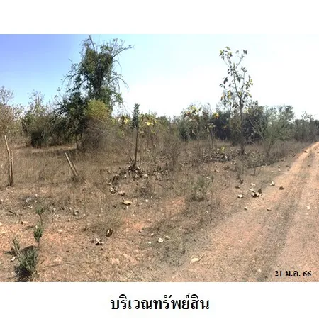 ทรัพย์ บสส. รหัส 9Z1384 ที่ดินเปล่า  ลำพูน 413000