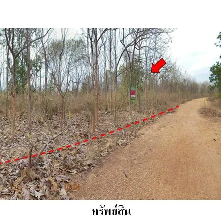 ทรัพย์ บสส. รหัส 9Z1385 ที่ดินเปล่า ลำพูน 235000
