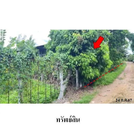 ทรัพย์ บสส. รหัส BL0082 ที่ดินเปล่า  เชียงใหม่ 1957000